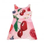 Cherry Blossom Skater Dress — Pink Fruit Floral AOP